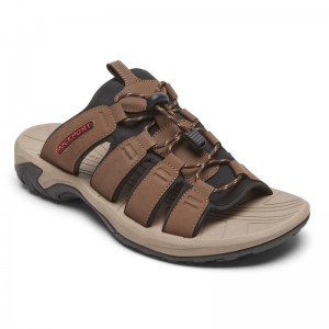 Rockport Byron Bungee Men Slides Brown Singapore | QU4-18091