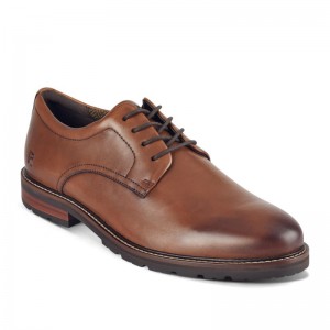 Rockport Cedric Dress Lace-up Almond Toe Men Oxford Shoes Dark Brown Singapore | XQ8-04800