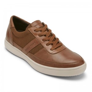 Rockport Colle Ubal Men Sneakers Brown Singapore | ZB7-46984