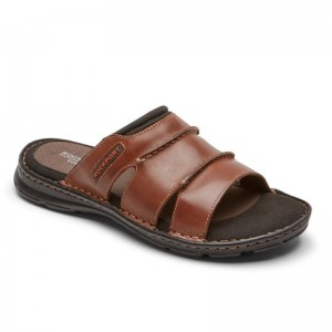 Rockport Darwyn Men Slides Brown Singapore | TN1-20722