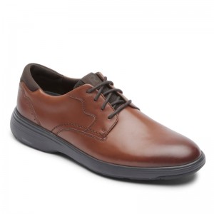 Rockport Noah Men Oxford Shoes Brown Singapore | SE7-37573