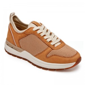 Rockport PulseTech Ubal Women Sneakers Brown Singapore | PO9-34643