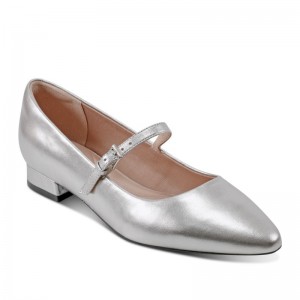 Rockport Taren Total Motion Pointy Toe Dress Women Ballet Flats Silver Singapore | AL4-46594