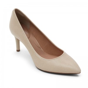 Rockport Total Motion 75mm Pointed Toe Heel Women Pumps Cream Singapore | IX9-83488