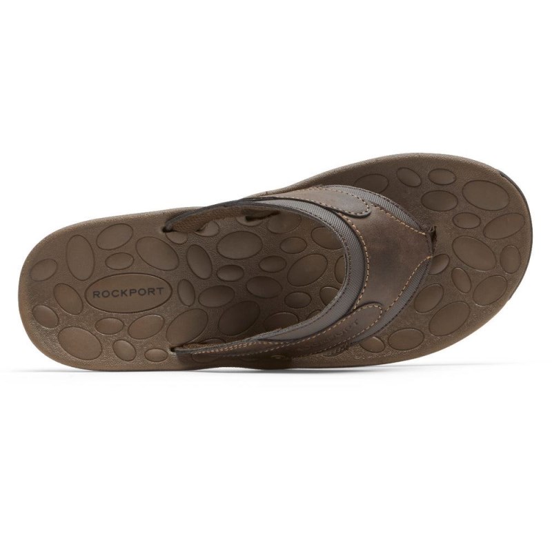 Rockport Hayes Thong Men Sandals Brown Singapore | VR9-22092