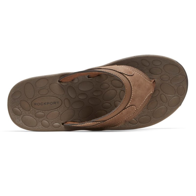 Rockport Hayes Thong Men Sandals Brown Singapore | FA9-81978